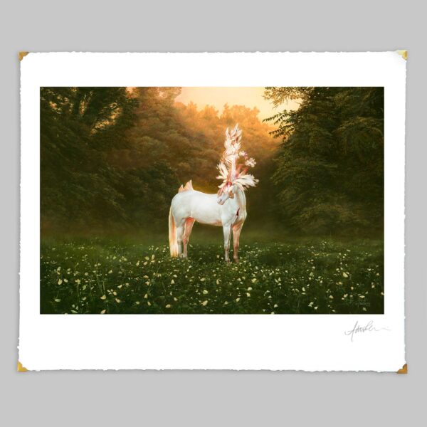 Chiron Bellucetes - Limited Edition Print