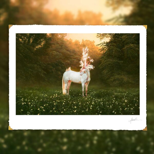 Limited Edition Fine Art Print_Title: Chiron Bellucetes_Andrea du Plessis_contemporary surrealism_horse_landscape